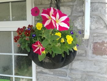 myrtle cottage vacation rooms