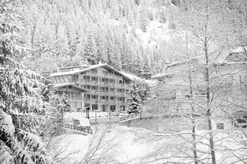 selva di val gardena