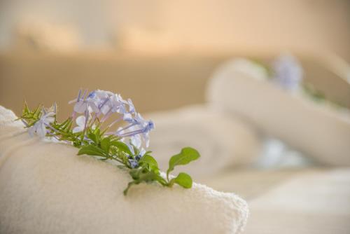 cycladic islands hotel and spa