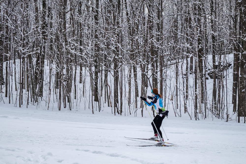 telemark northwoods lodging