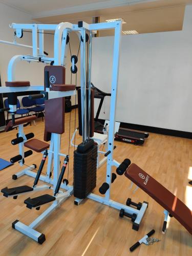 hotel terminus pizzeria pizza gogo