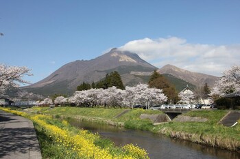 Yufuin Sanso Waremokou,Oita>>Hiji,3 star