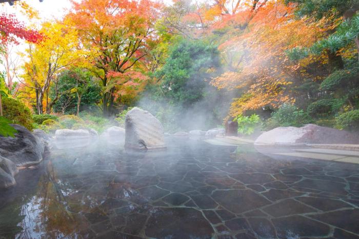 hakone