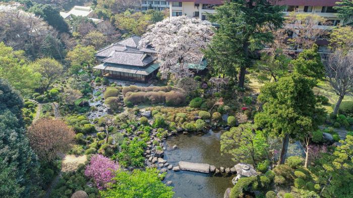 hakone