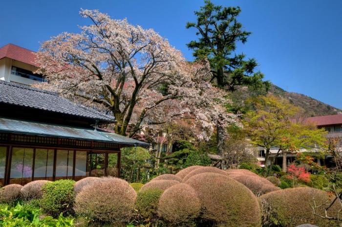 hakone