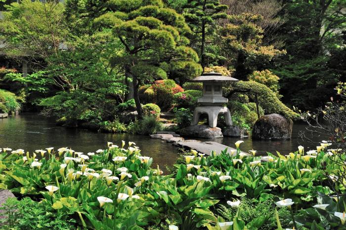 hakone