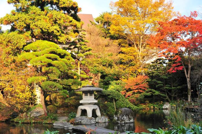 hakone