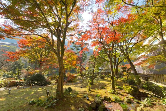 hakone