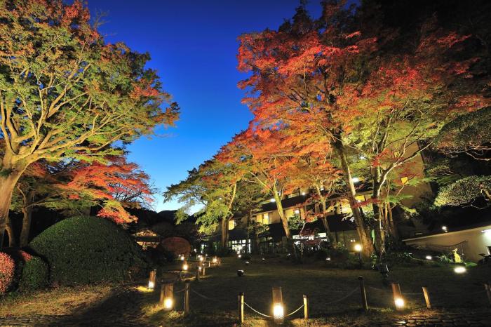 hakone