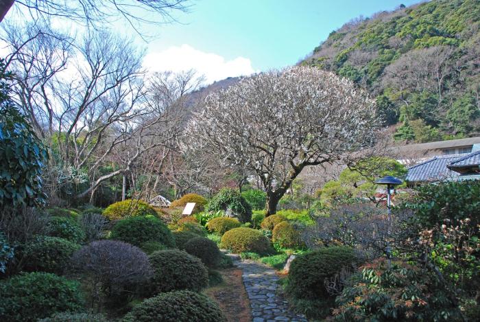 hakone