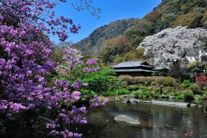 hakone