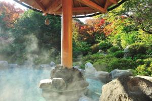 hakone