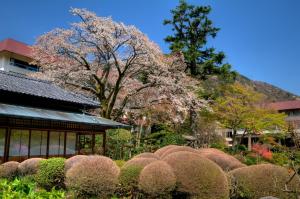 hakone
