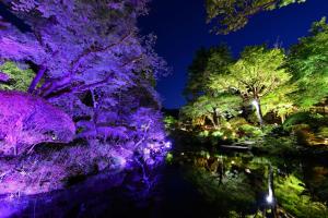 hakone