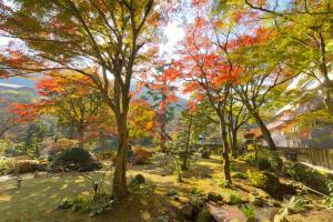 hakone