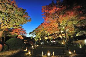 hakone