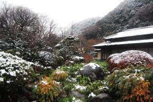 hakone
