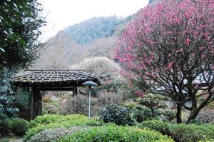 hakone