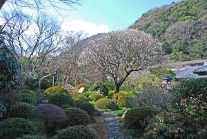 hakone