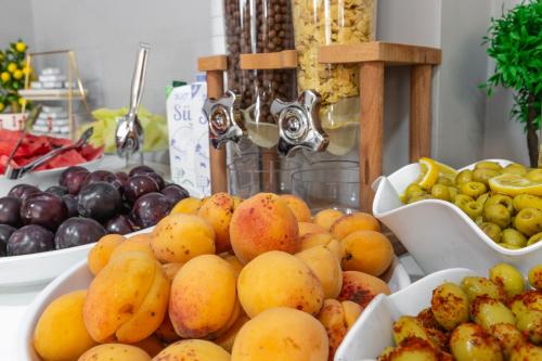 north star suite hotel