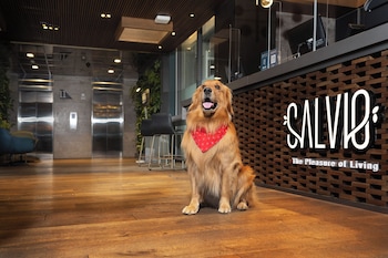 salvio parque 93 bogota curio collection by hilton