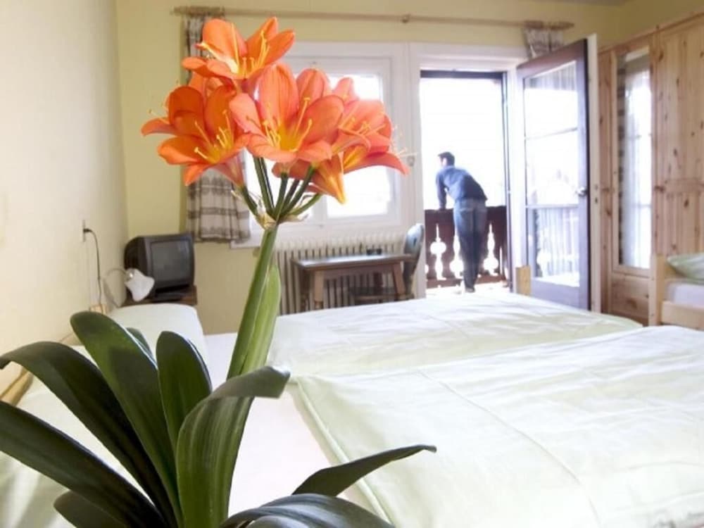 ron s guesthouse