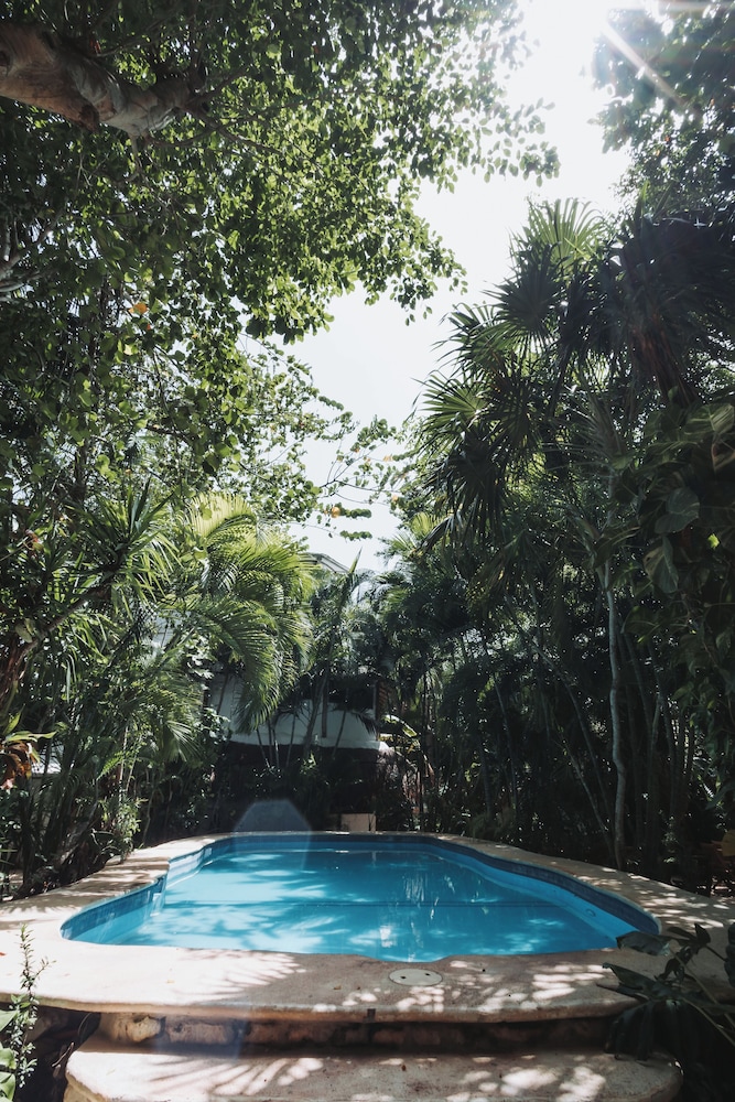 isla holbox
