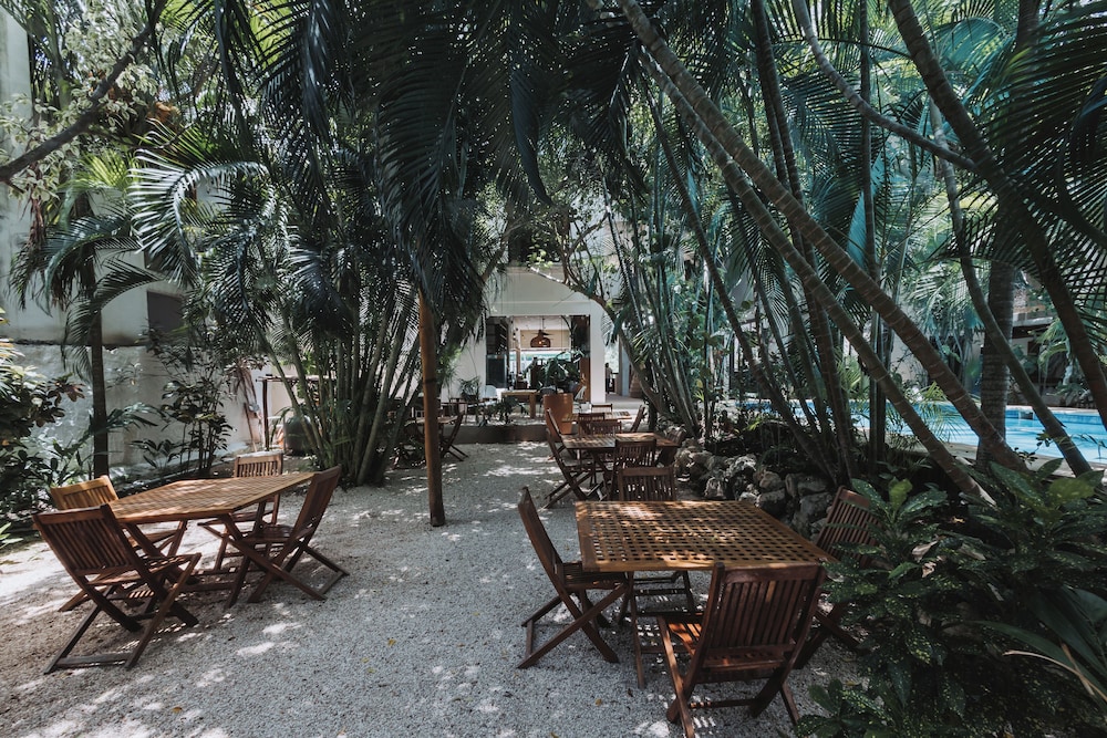 isla holbox