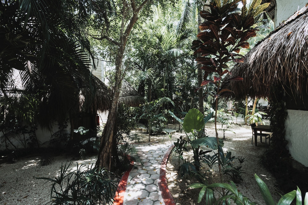 isla holbox