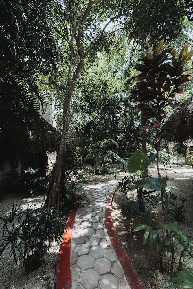 isla holbox