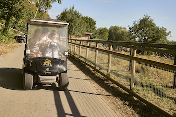 Treehouse Hotel - At Port Lympne Reserve,Lympne>>Hythe,4 star