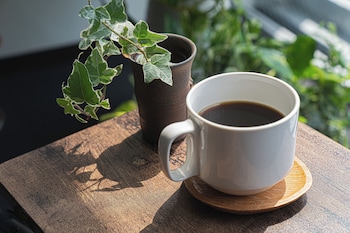 hiroshima guest house nice day