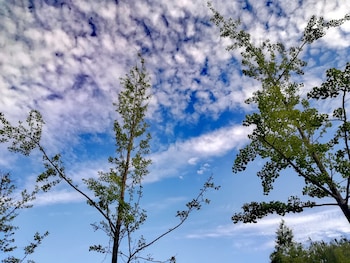 pullman lijiang resort and spa