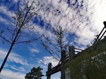 pullman lijiang resort and spa