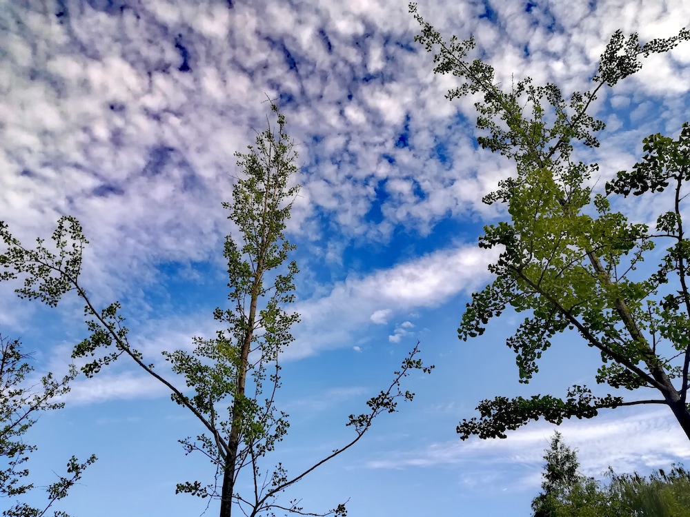 pullman lijiang resort and spa