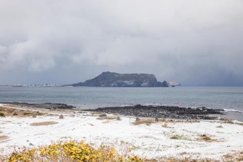 phoenix island