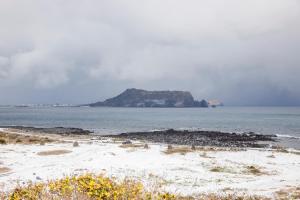 phoenix island