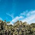 saboga lodge and villa noelia