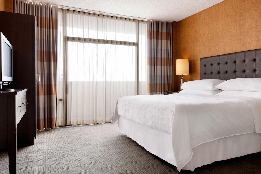 sheraton charlotte hotel