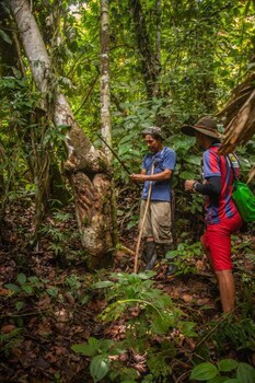 ditsowou lodge and tours