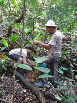 ditsowou lodge and tours