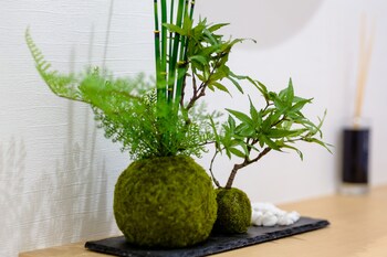 mt fuji akatsuki enn