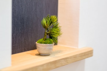 mt fuji akatsuki enn