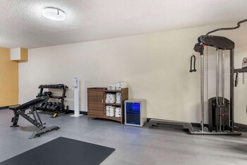 quality inn alamosa