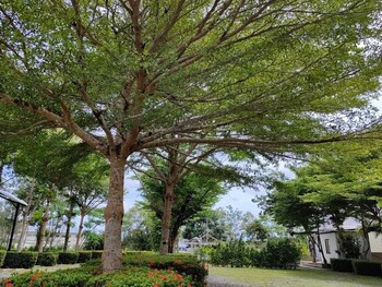 chanthaburi