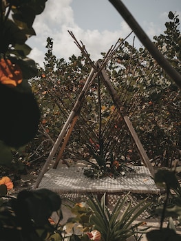 glamp ikal tulum