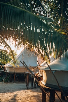 glamp ikal tulum
