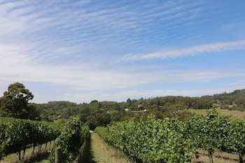 pavilions at lenswood