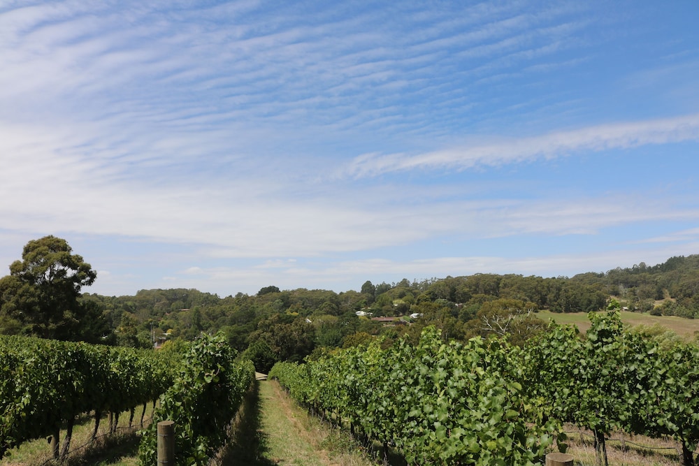 pavilions at lenswood
