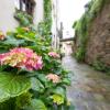 san michele al borgo